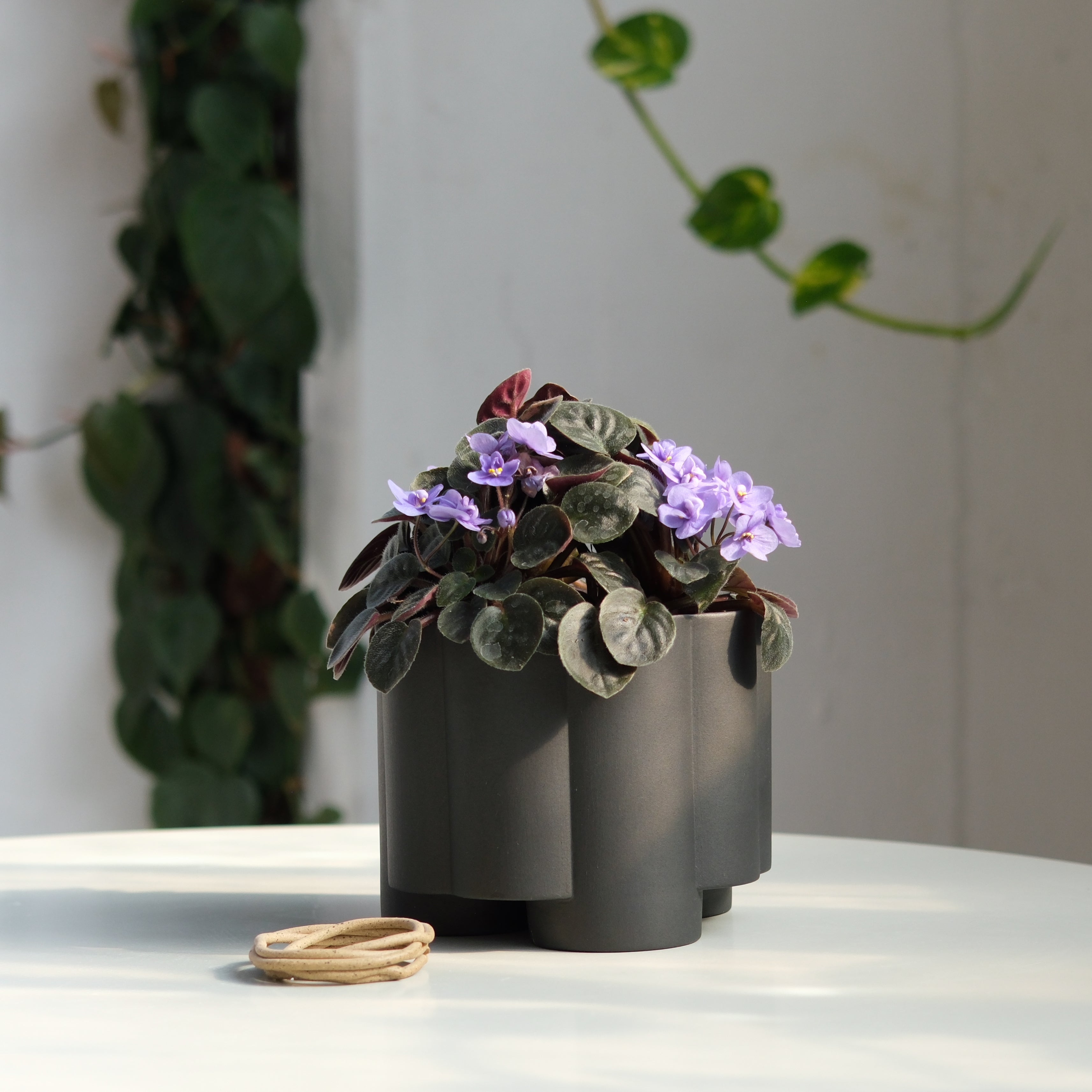 Pillar Planter