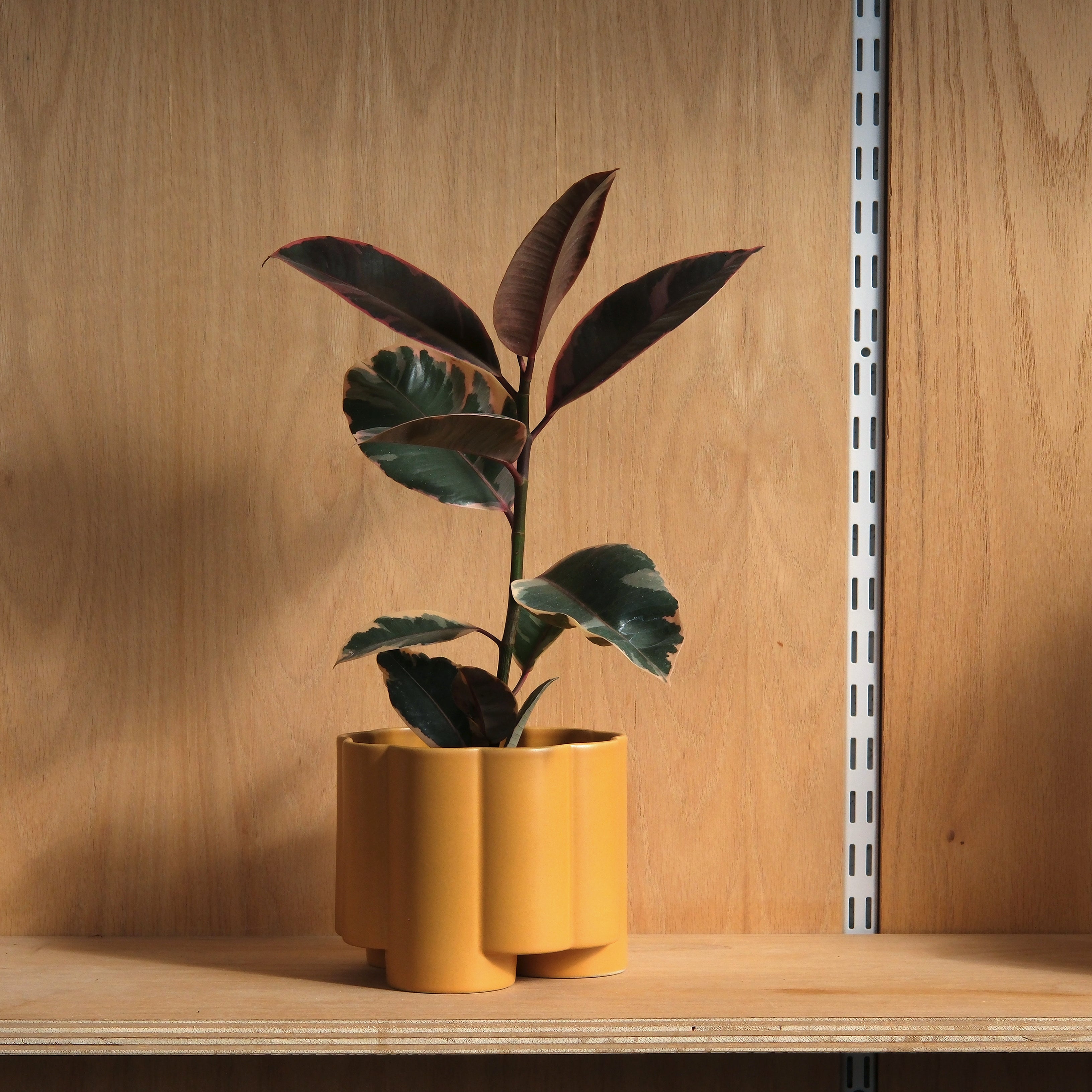 Pillar Planter