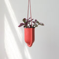 Portico Planter